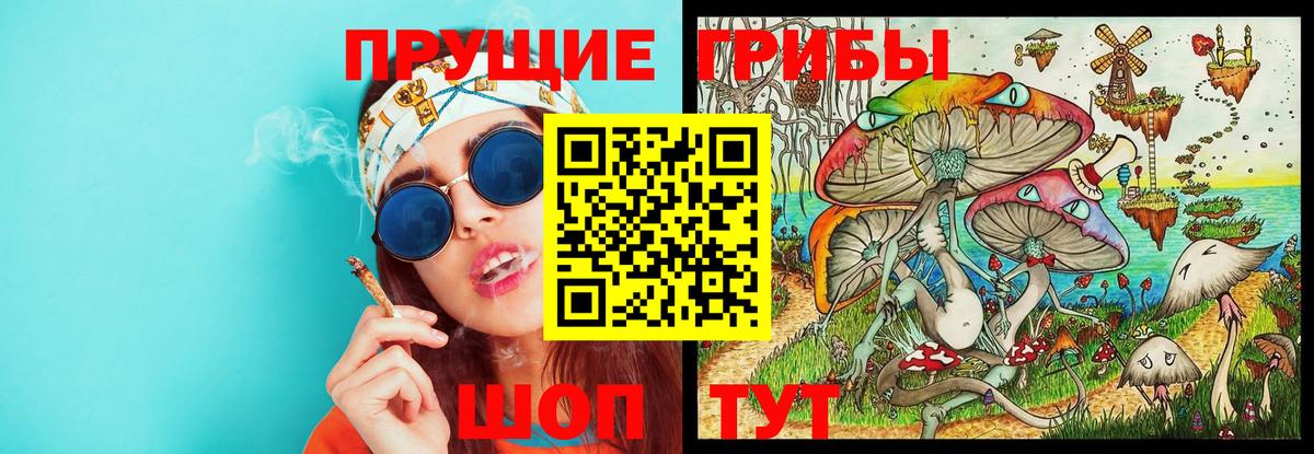 Галлюциногенные грибы прущие грибы  Вход с VPN  Псилоцибиновые грибы Psilocybine cubensis  Междуреченск 