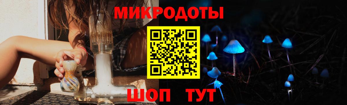 Псилоцибиновые грибы Cubensis Междуреченск